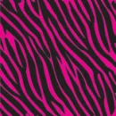 pink zebra