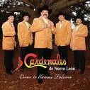 los cardenales de nuevo leon