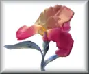 Flower Fairy