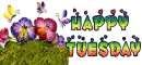 Happy Tuesday