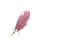 Feather Pen Rose - Maytte