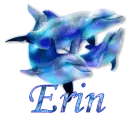 Erin - Dolphins