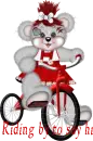 Creddy bear Riding by to say hi