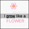 I grow like a flower