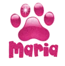 Paw Print