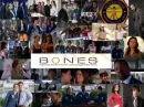 Bones