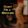 Rawr kitty