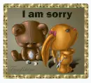 i am sorry
