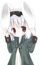 White Bunny Rabbit