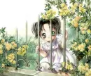 Inside the Fence