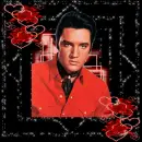 elvis