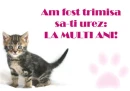 8 Martie