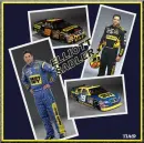 elliott sadler