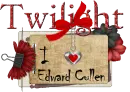 Twilight I love edward cullen