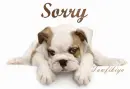 i am sorry