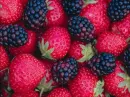 Berry Bunch