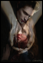 Twlilght-book-edward-and-bella