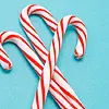 Candy Canes x