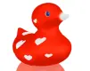 Multicolor Duck