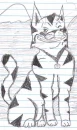happy cat
