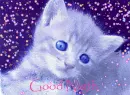 goodNight