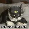 batman pup! x33