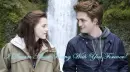 Twilight book