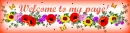 welcome to my page