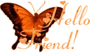hello friend with butterfly