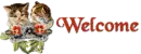 welcome cats