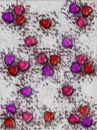 Leopard Print Hearts