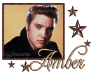 Elvis - Amber