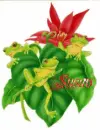 susan's frogs