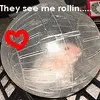 .............