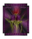 spring tulips
