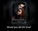 Twilight