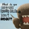 edward cullen