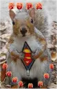 SupaSquirrel 
