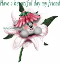 Creddy bear have a beautiful day