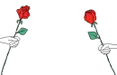 rose toast