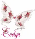 Evelyn