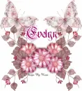Evelyn