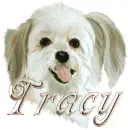 tracy 