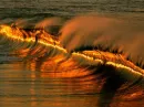 Ocean sunset