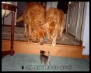 I Am The Boss Now