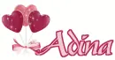 Adina heart sucker