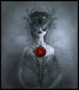 Lady