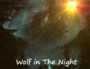 Wolf in the 