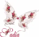 Sadia