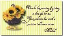 Thank You